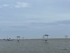 -碧海金沙