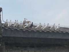 -磁器口古镇