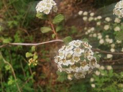 -野三坡清泉山风景区