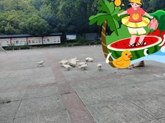 -善卷洞风景区