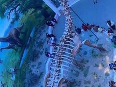 -辽宁古生物博物馆