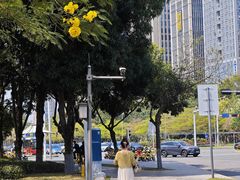 -深圳市人才园(深南大道店)