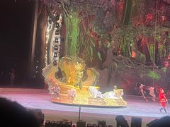 -广州长隆国际大马戏