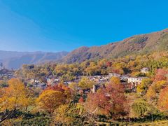 -塔川景区