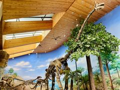 -延庆地质公园博物馆