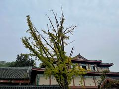 -浙江省博物馆(孤山馆区)