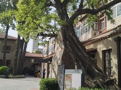 -静园(和平区)