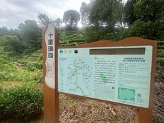 -十里琅珰