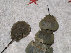-福州罗源湾海洋世界旅游区