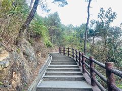 -羚羊峡古栈道森林公园