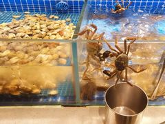 -星伦多自助料理·涮烤一体(虹悦城店)