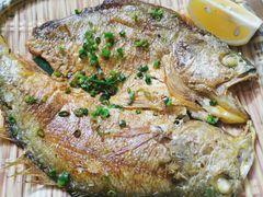 香煎黄花鱼-和记菜馆