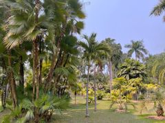 -中国科学院西双版纳热带植物园