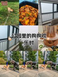 -HEYAN荷妍专业脱毛连锁机构