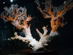 -台北故宫博物院