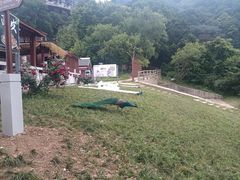 -少华山国家森林公园