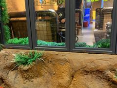 -愿者上钩(布吉老街店)