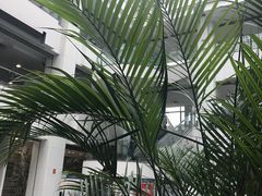 -苏州图书馆(人民路总馆)