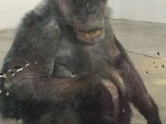 android_upload_pic-西安秦岭野生动物园