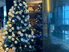 -上海龙之梦万丽酒店