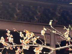 -钱王祠