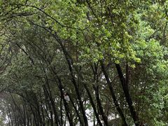 -西南林业大学(白龙校区)