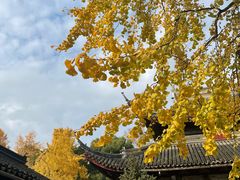 -西园戒幢律寺