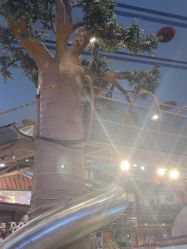 -卡通尼·Safari非洲探索乐园·生日会(金桥国际商业广场店)