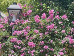 -颐和路民国时期公馆风貌区