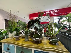-东莞君尚