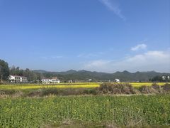 -大围山国家森林公园