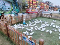 -南阳卧龙岗武侯祠
