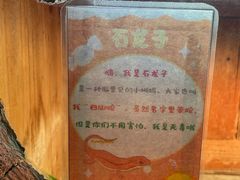 -上海大自然野生昆虫馆