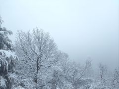 -头陀岭景区