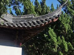 -秋霞圃