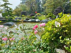 -东莞植物园