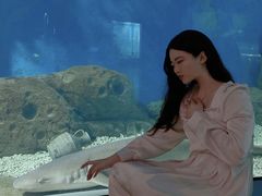 -福州罗源湾海洋世界旅游区