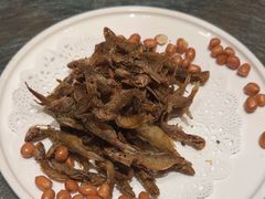 -幸福的烤包子·新疆菜