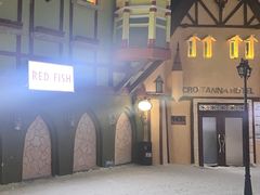 -世界之窗阿尔卑斯冰雪世界