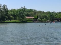 -大兴滨河森林公园