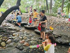 -成都市活水公园