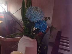 -陶享时光西餐·下午茶(信河街店)