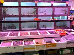 水产区-长平肥姐白粥·海鲜打冷