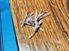 -八月美食小馆(银泰城总店)