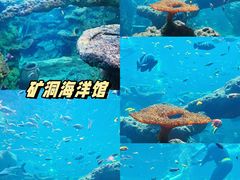 -长鹿旅游休博园