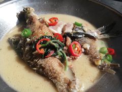 -椿记烧鹅(叠彩店)