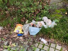 -素山寺森林公园