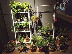 -Primo·丽莫意大利窑烤披萨