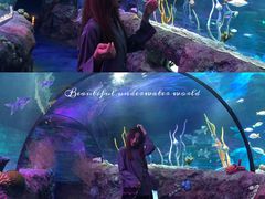 -沈阳海洋探索中心