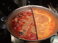 台式麻辣锅-湊湊火锅·茶憩(新中关购物中心店)